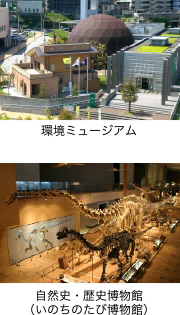 環境ミュージアム・自然史・歴史博物館（いのちのたび博物館）